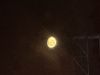 hippiemoon