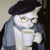 MISTER CATS